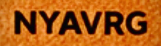 NYAVRG logo